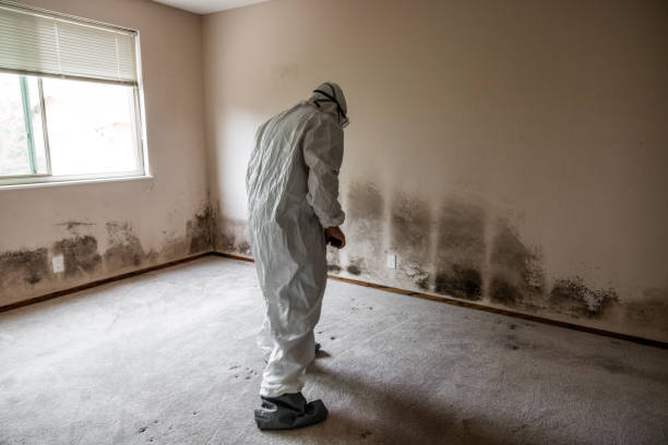 Water Damage Restoration in Canadian Lakes, MI